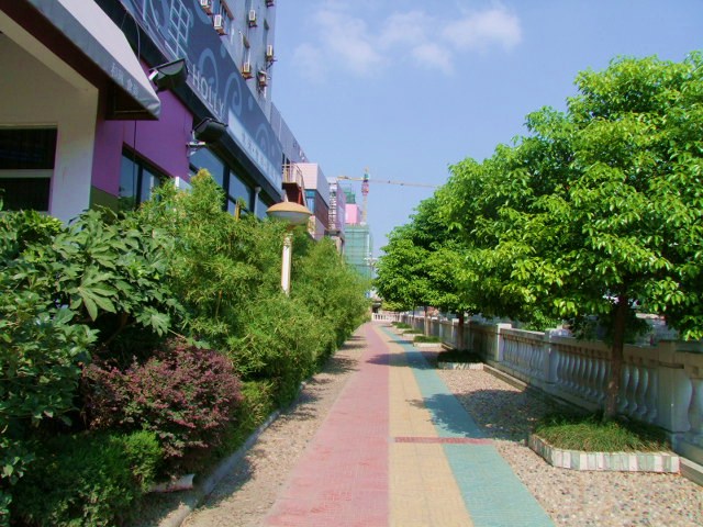 滨河风光