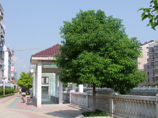 滨河风光